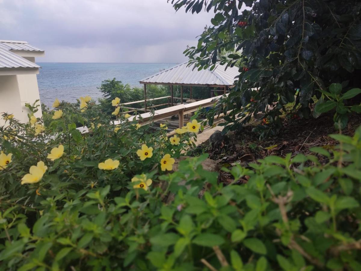 Maracaibo View 호텔 Bahia Maracaibo 외부 사진